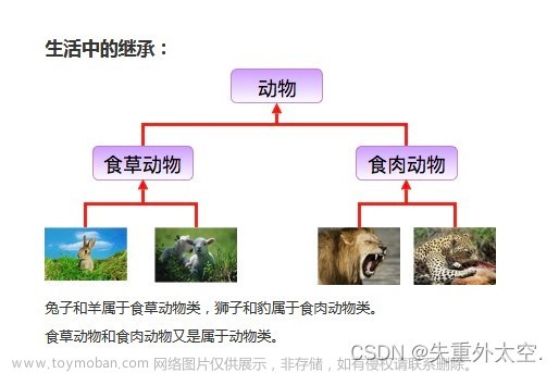 从零开始学习 Java：简单易懂的入门指南之面向对象（九）