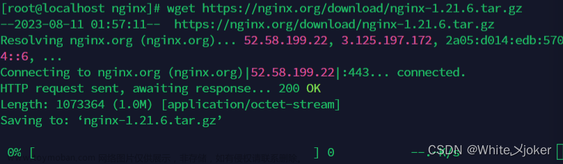 Nginx环境搭建以及Docker环境部署