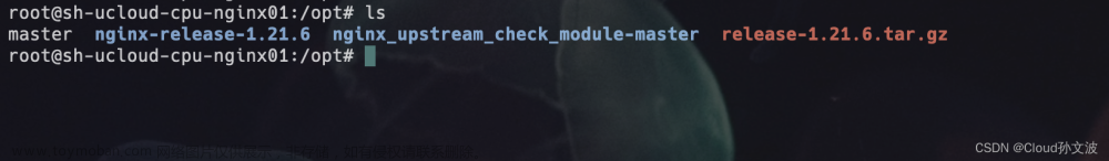 ubuntu 编译安装nginx及安装nginx_upstream_check_module模块