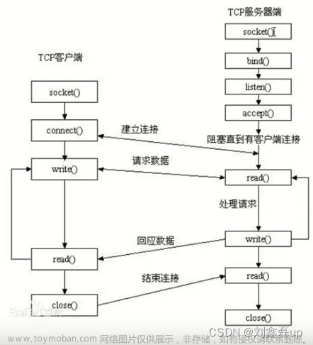 Linux网络编程：Socket套接字编程（Server服务器 Client客户端）