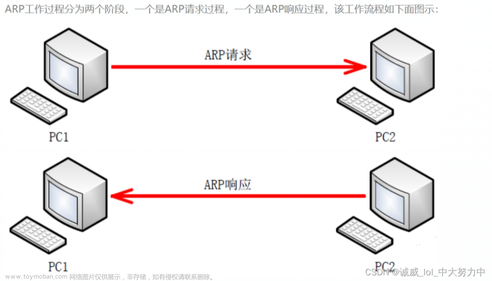 Wireshark数据抓包分析之ARP协议