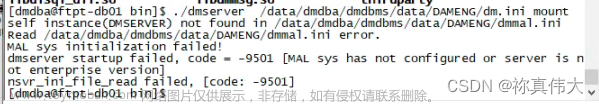 -9501 MAL系统没有配置或者服务器不是企业版（dm8达梦数据库）