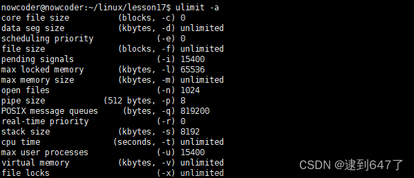 linux并发服务器 —— 多进程并发（四）