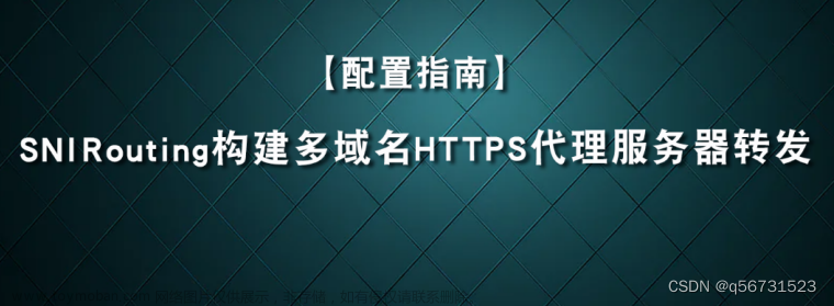 如何构建多域名HTTPS代理服务器转发