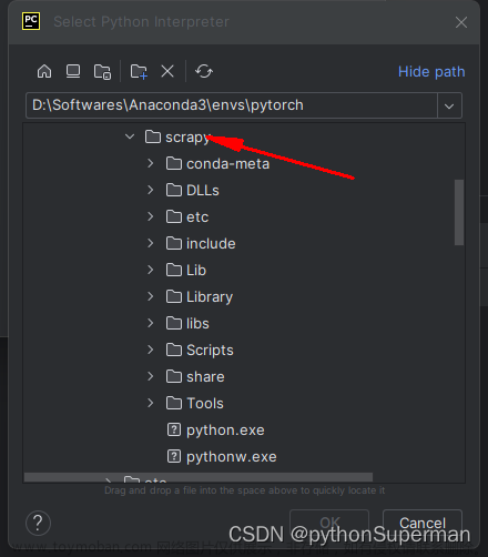 解决jupyter notebook可以使用pytorch而Pycharm不能使用pytorch的问题