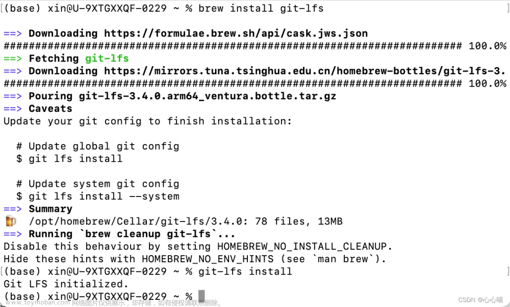 [linux] huggingface transformers 如何下载模型至本地 & git lfs install 报错
