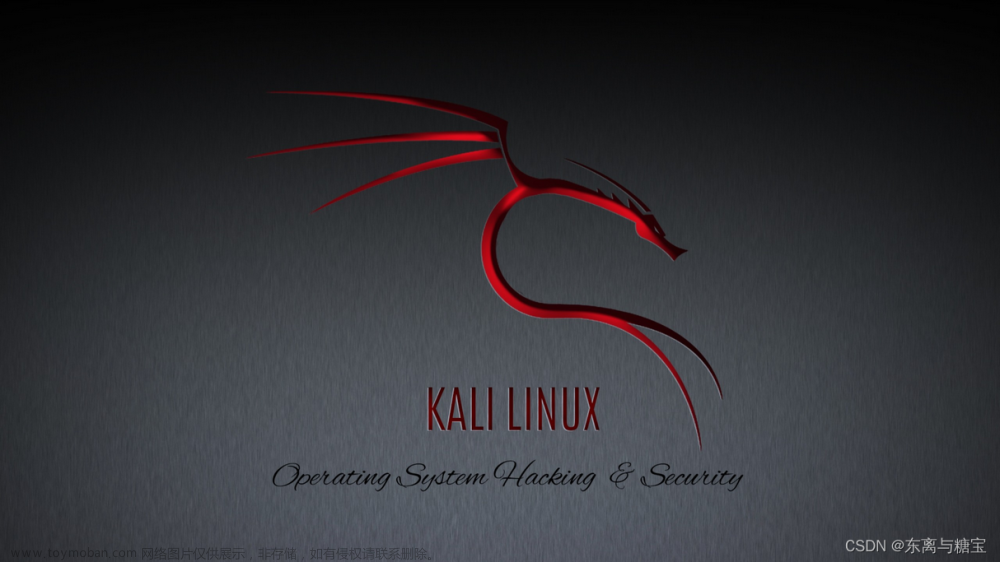 Kali Linux渗透测试技术介绍【文末送书】