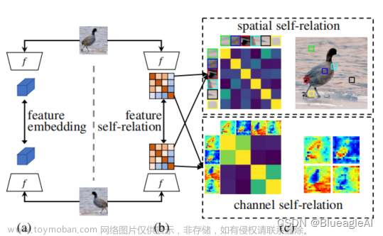 论文阅读：SERE: Exploring Feature Self-relation for Self-supervised Transformer