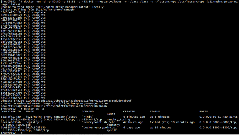 Nginx可视化管理工具和Cpolar在本地搭建服务器【内网穿透】
