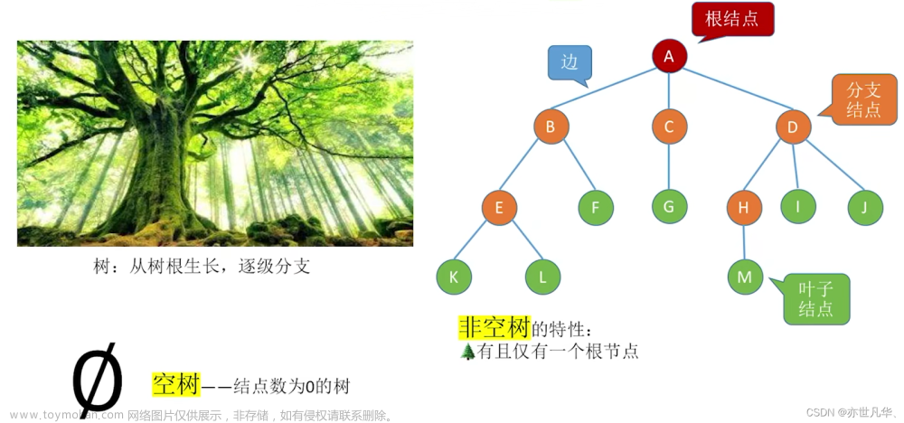 数据结构--》解锁数据结构中树与二叉树的奥秘（一）