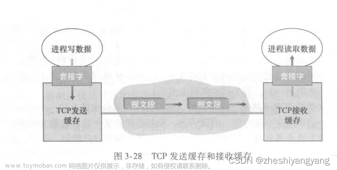 计算机网络-TCP协议