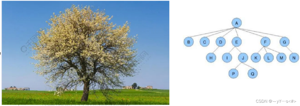 【数据结构】树、二叉树的概念和二叉树的顺序结构及实现