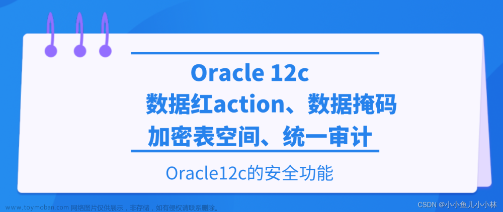 让数据无所畏惧！探索Oracle 12c的强大安全功能：数据红action、数据掩码、加密表空间、统一审计等功能|oracle 12c相对oralce 11g的新特性（4）