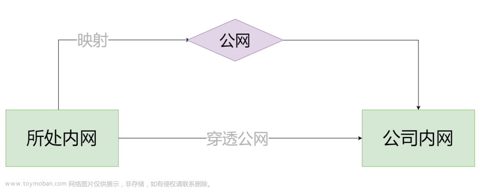 natapp内网穿透-将本地运行的程序/服务器通过公网IP供其它人访问