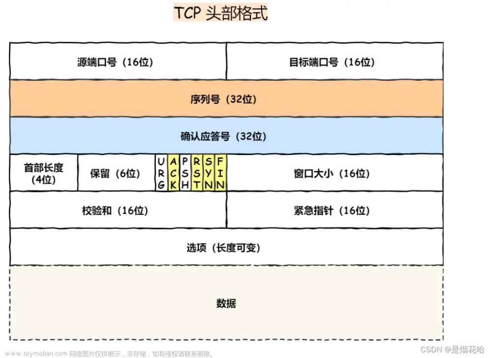 【计算机网络之TCP/UDP篇】TCP与UDP协议详细介绍