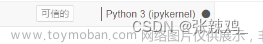 jupyter notebook运行没有输出，且python(ipykernel)为实心