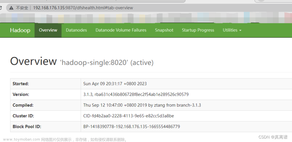 Hadoop启动后没有datenode进程的解决办法