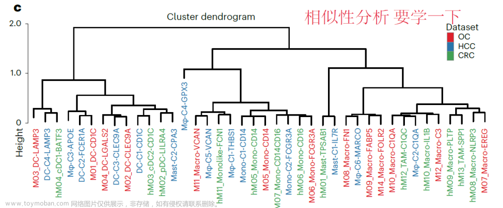 专栏十：10X单细胞的聚类树绘图