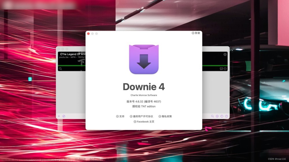 视频下载软件 Downie4 mac中文介绍