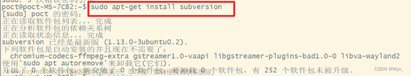 【SVN】SVN搭建ubuntu服务器过程（图文超详细）