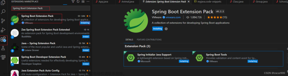 VS Code 开发 Spring Boot 类型的项目