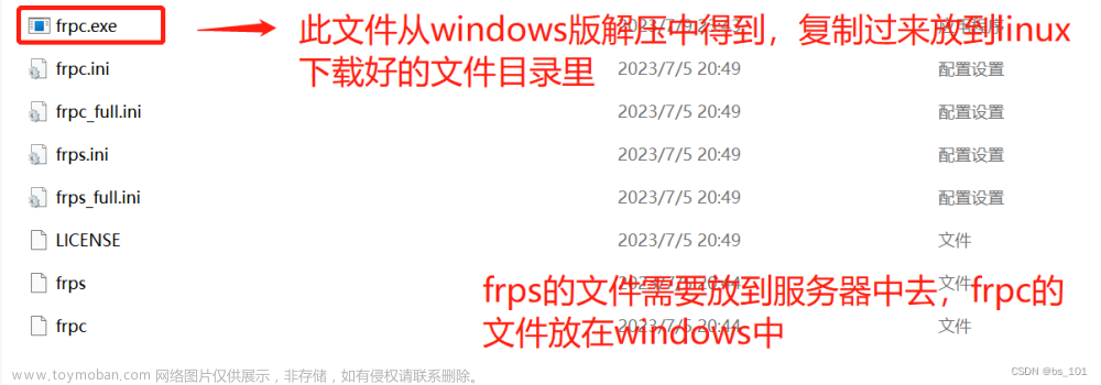 搭建FRP内网穿透服务器来远程访问本地windows/linux中的web服务