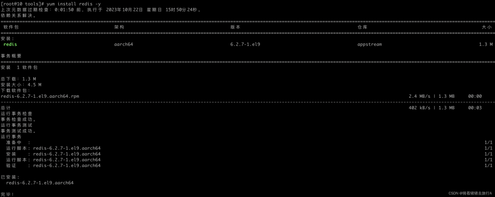 ARM aarch64架构安装Redis看这一篇就够了