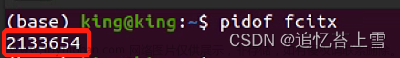 Ubuntu 搜狗输入法无法输入中文解决方案（不需要重装，不需要重启服务器）
