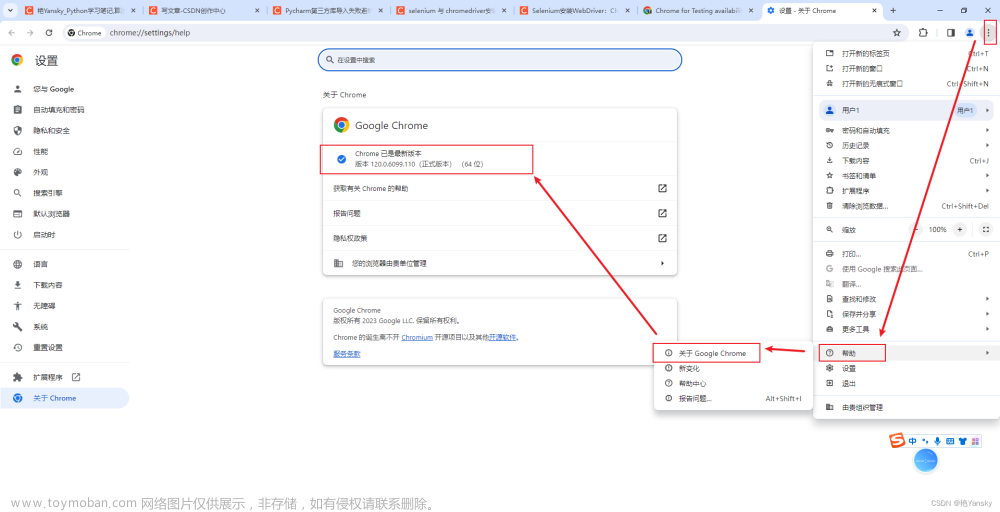 Selenium安装WebDriver：ChromeDriver与谷歌浏览器版本快速匹配_最新版120