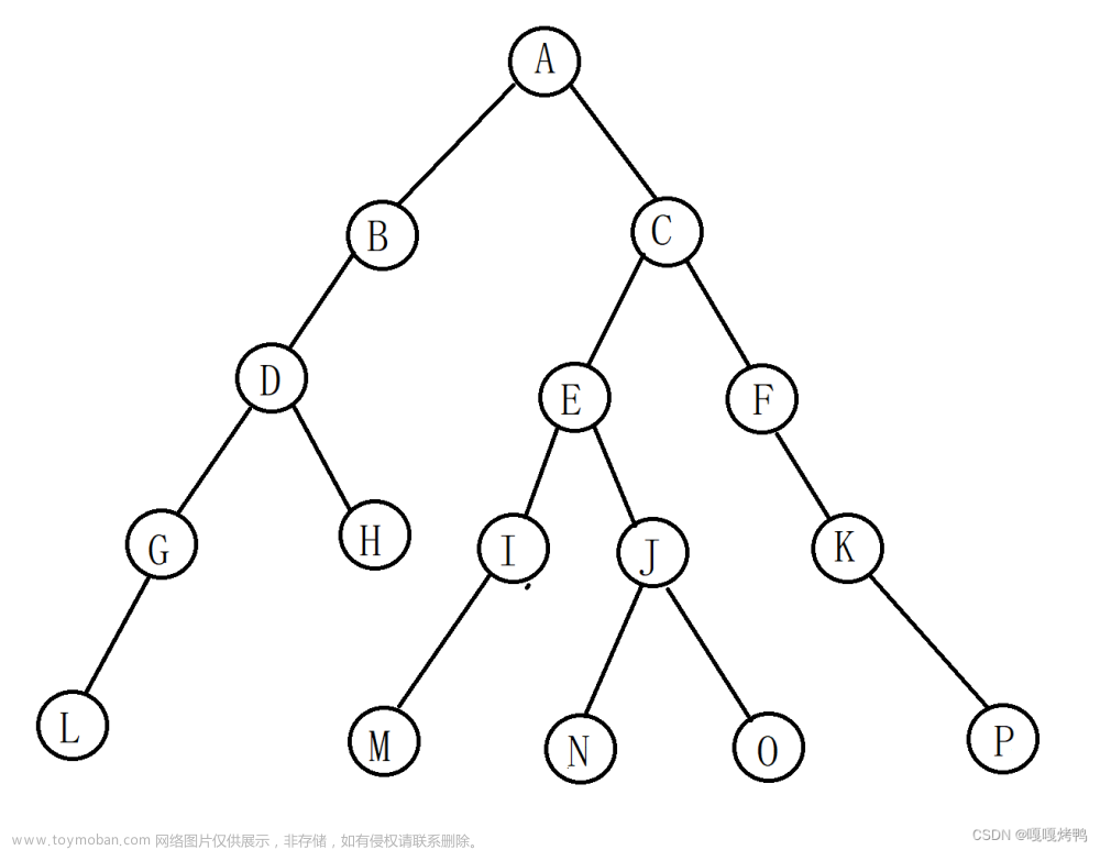 二叉树的基本操作-C语言实现-数据结构作业