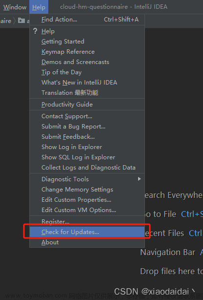 IntelliJ IDEA软件内如何更新到最新版本