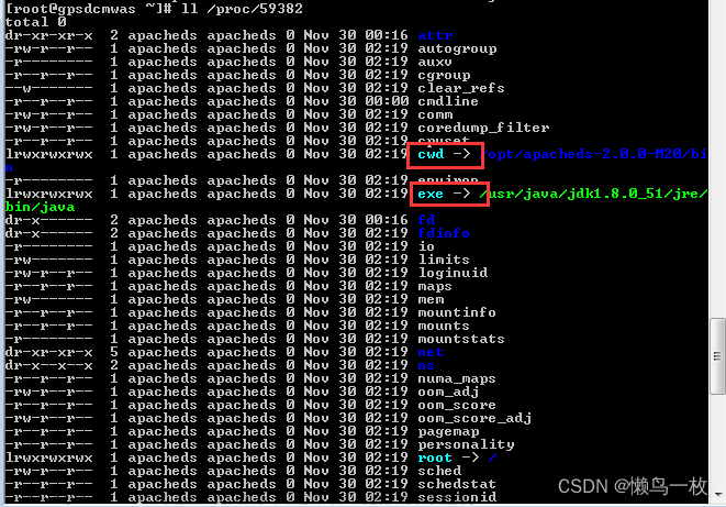 linux 服务器进程、端口查找，nginx 配置日志查找，lsof 命令详解