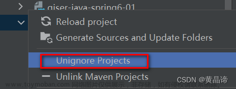 Maven项目提示Ignored pom.xml问题