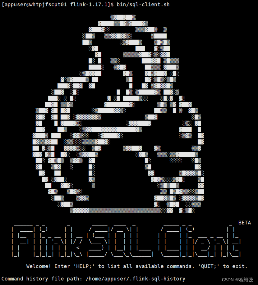 Flink CDC MySQL同步MySQL错误记录