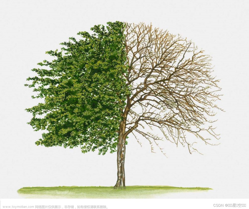 数据结构之二叉树（详细版）