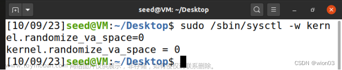 网络攻防技术——缓冲区溢出攻击（基于服务器）