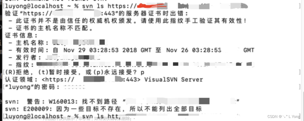 svn: E170013: Unable to connect to a repository at URL ‘‘ svn: E230001: Server SSL certificate