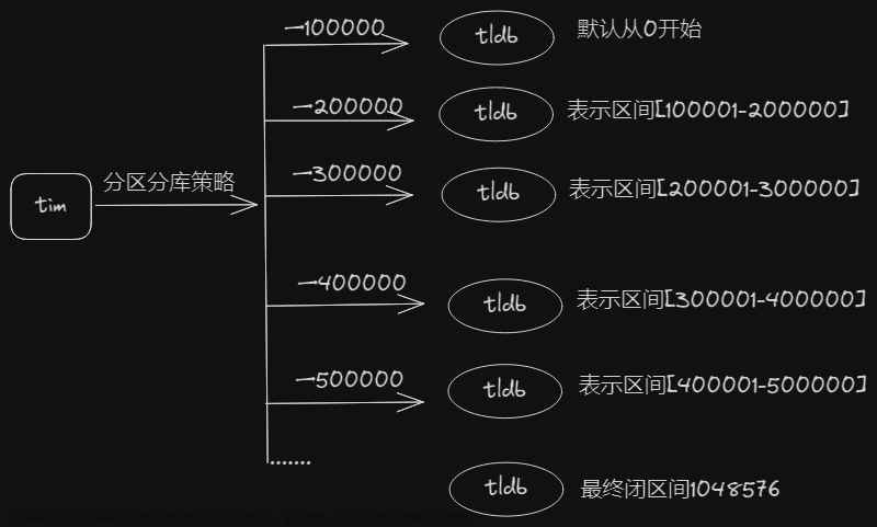 tim实践系列——分布式数据存储与动态数据库扩容