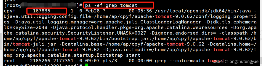Linux查看tomcat是否启动，查看tomcat监听端口