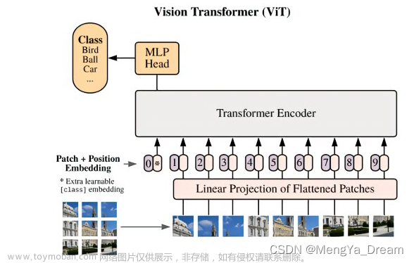 ViT: Vision transformer的cls token作用？