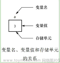 【C语言基础考研向】02 数据类型-常量-变量