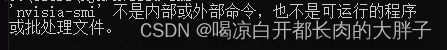 查看电脑cuda版本,经验技巧,软件安装,计算机,深度学习,tensorflow,pytorch,gpu算力
