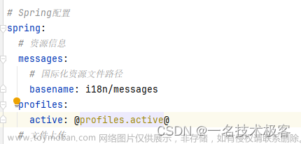 Spring Boot java -jar --spring.profiles.active=dev 失效问题