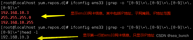 正则表达式（拓展）、grep（拓展）和sed