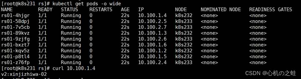 14-k8s控制器资源-rs控制器replicasets,k8s系列,kubernetes,容器,云原生