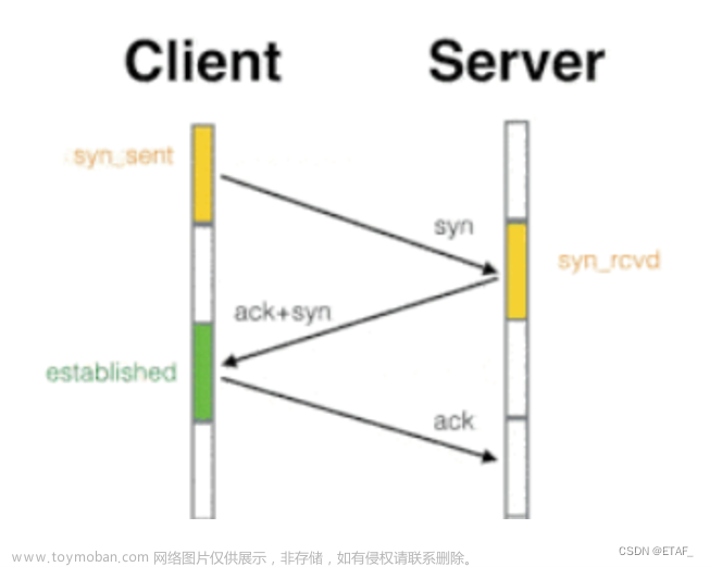 网络基础及TCP/UDP 笔记,php,网络,开发语言