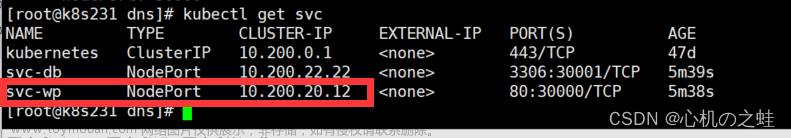 19-k8s的附加组件-coreDNS组件,k8s系列,kubernetes,容器,云原生