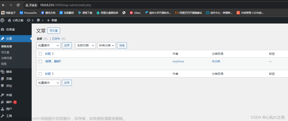 19-k8s的附加组件-coreDNS组件,k8s系列,kubernetes,容器,云原生