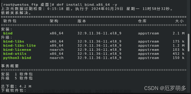 从零学习Linux操作系统 第二十二部分 企业域名解析服务的部署及安全优化