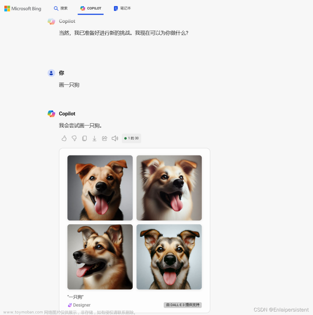 必应的copilot用不了,copilot,copilot,ai,java-ee,idea,ai绘画,AI编程